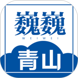 米兰体育：如何影响国际足坛的五大联赛